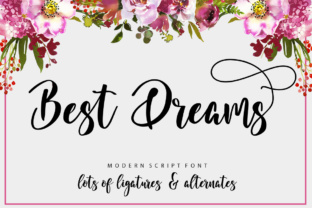 Best Dreams: A Stylish Script Font for Creative Branding