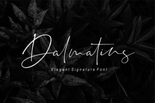 Discover the Elegance of Dalmatins: A Modern Script Font