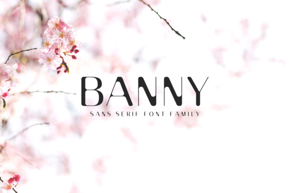 Enhance Your Brand with Banny Sans Serif Family