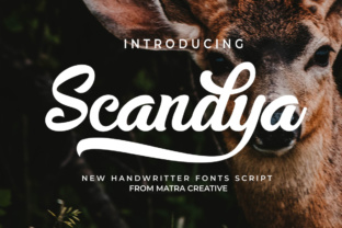 Scandya Script: A Versatile Handwritten Font