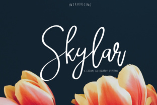 Skylar: A Perfect Font for Unique Branding Projects