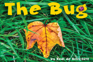 The Bug: A Blackletter Font for Bold Campaigns